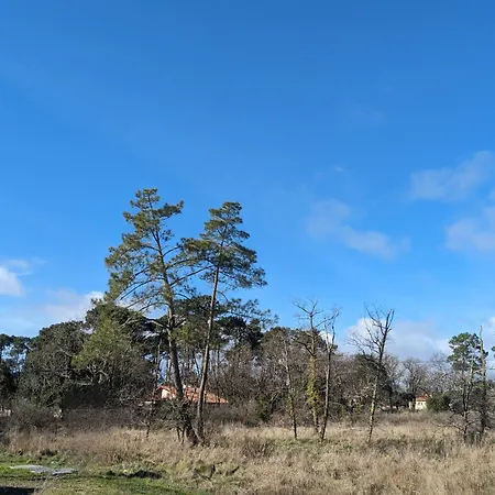 度假居 Charmante Maison Bassin D 'arcachon