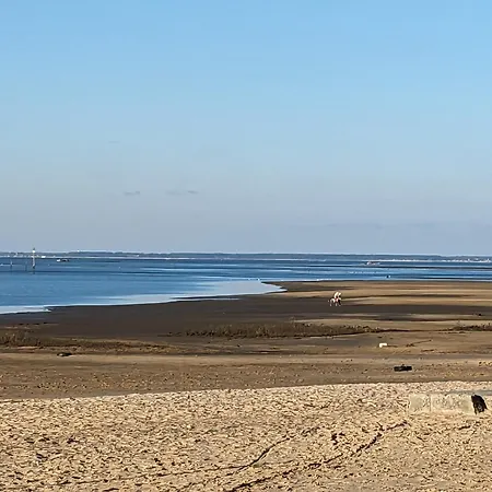 Charmante Maison Bassin D 'arcachon 度假居 居让梅斯特拉
