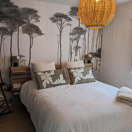 Charmante Maison Bassin D 'arcachon * 居让梅斯特拉