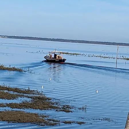 Charmante Maison Bassin D 'arcachon * 居让梅斯特拉